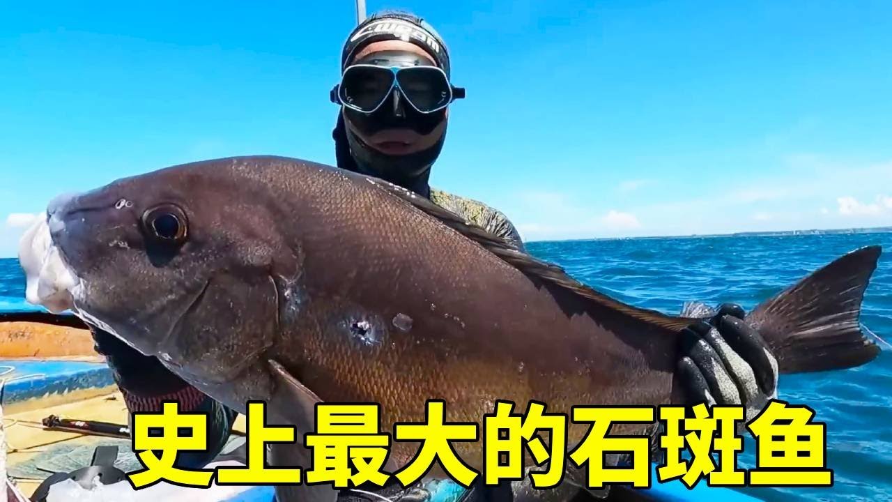 阿鋒花費10000元升級裝備，下海以后疯狂收货大鱼，这钱没白花！#赶海#潛水#釣魚#海釣