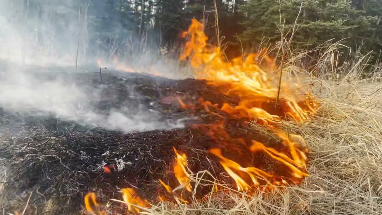 Erasing the Ancestors: Indigenous Fire in the Boreal. IAWF Fire & Climate June2022 4K