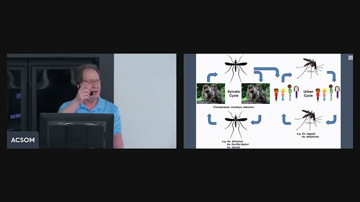 Dr. Majid Sadigh - Chikungunya Virus Infection