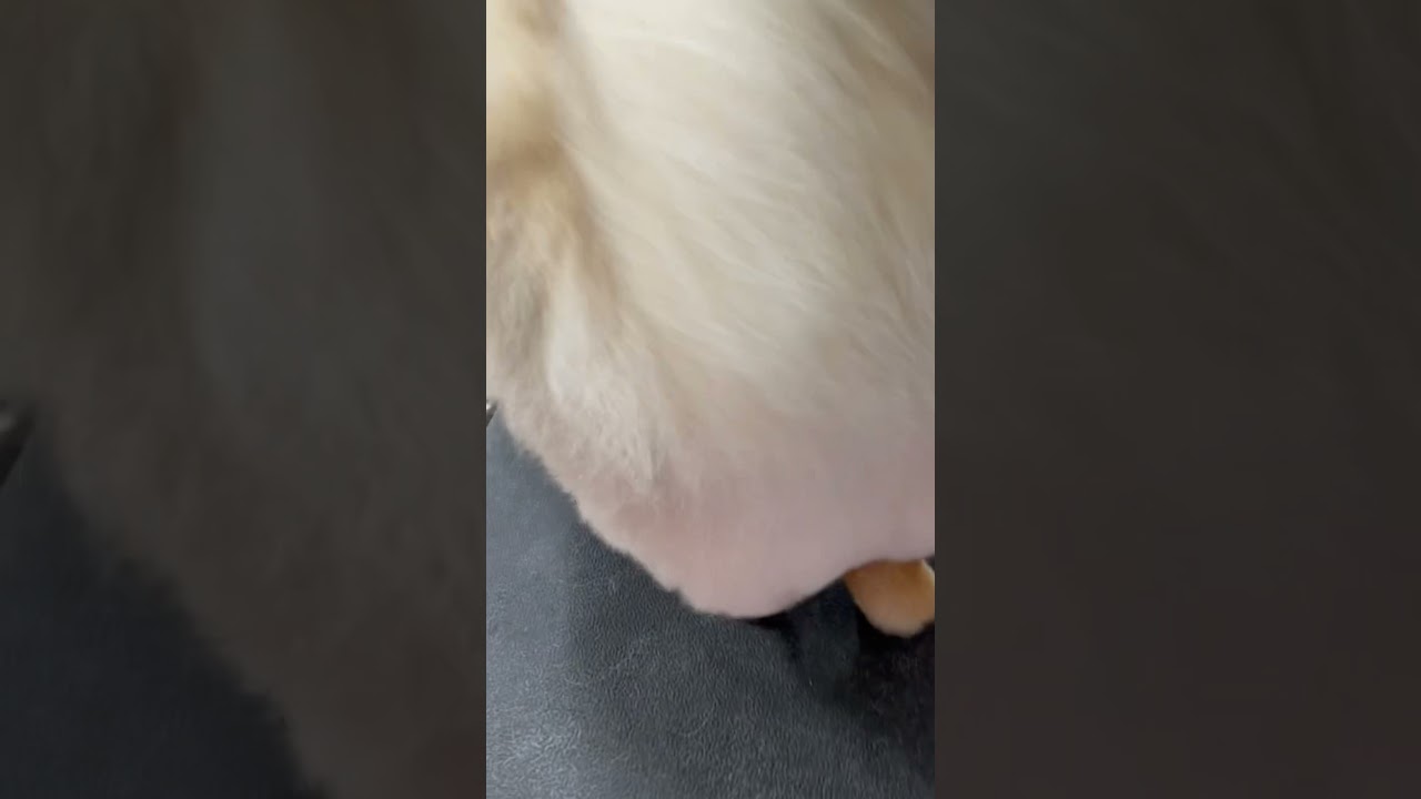 Fluff butt