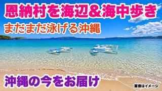【沖縄の今をお届け】恩納村を海辺＆海中歩き「沖縄旅行情報」