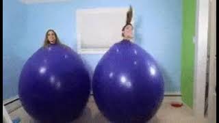 GIF - FUNNY