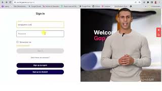 Gapnet. Introduction to the agent portal