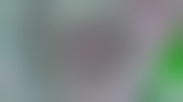 {YTP Collab} the self chosen seconds of scrambling collab