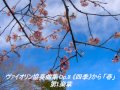 ヴァイオリン協奏曲集 Op.8 《四季》から 「春」 第1楽章 (ヴィヴァルディ)