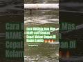 Cara Rahasia Ikan Mas Indukan dan rame Cepat Makan Umpan Di Kolam Lomba #fishing #umpanikanmasjitu