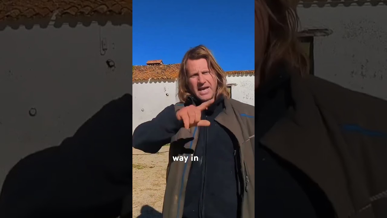 YouTube player