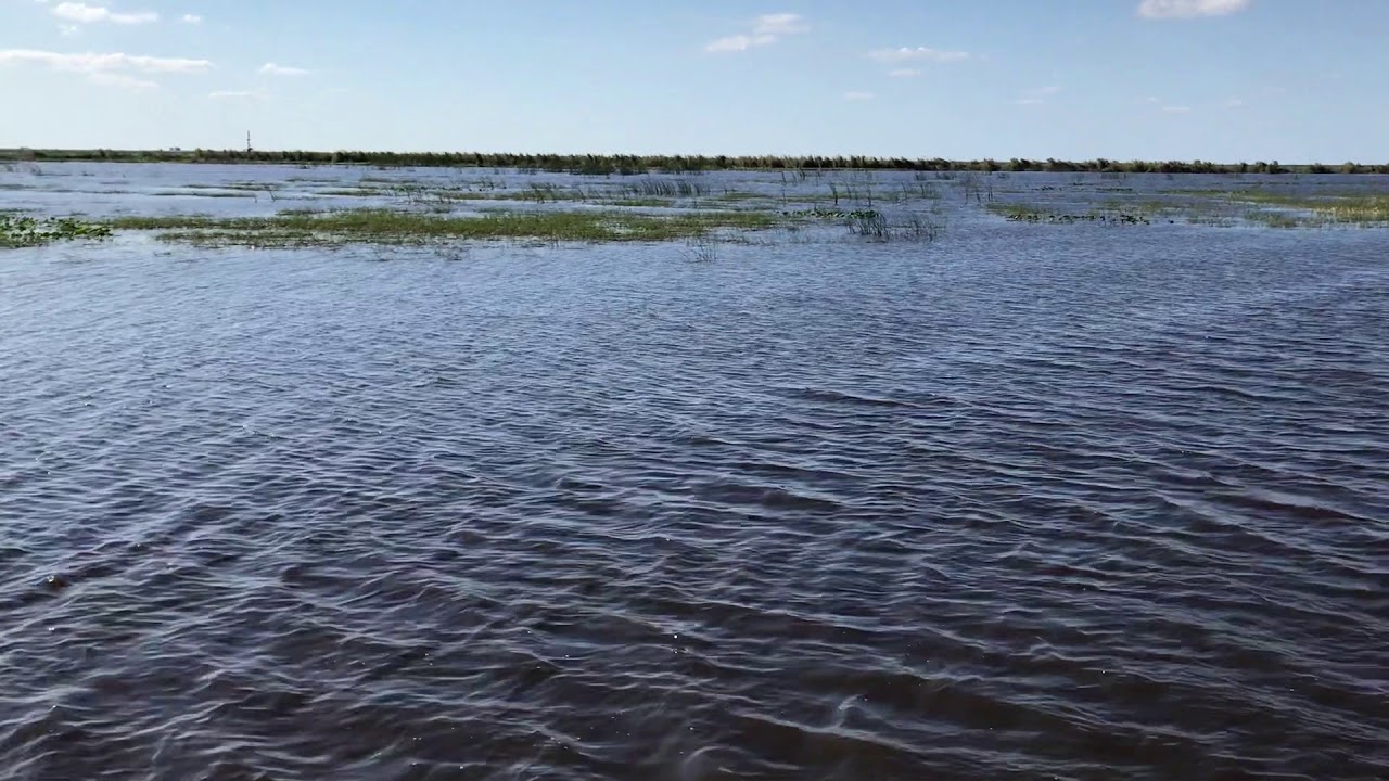 Okeechobee Grassy Lake YouTube