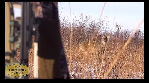 Public-Land Whitetail Bowhunt - from the ground with a Stalker Decoy!