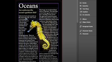 How to Apply Subject Aware Text Wrap in Indesign 2023