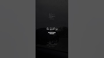 من سورة الحجر القارئ 🎙️ شريف مصطفى 🤍