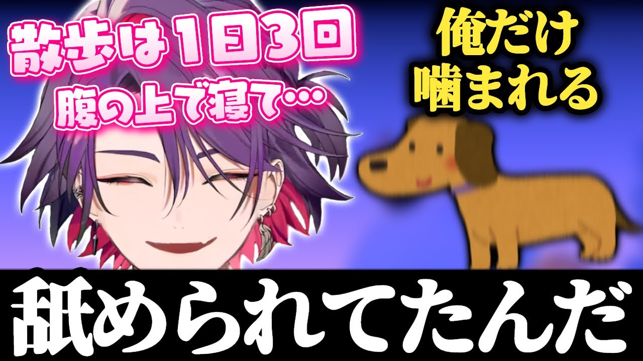 わんぱくな犬と小学生時代の渡会雲雀【渡会雲雀/壺/にじさんじ/切り抜き】