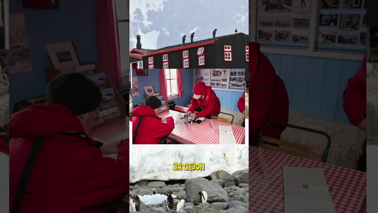 Требуется почтальон в Антарктиде на полную ставку