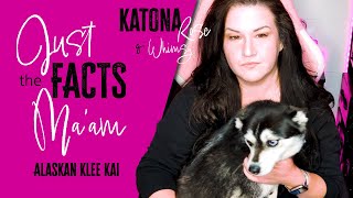 Alaskan Klee Kai | Just the Facts