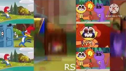 222 Shuric Scans With Are Slides