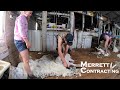 Shearing Is Hard Work!!! | Australian Farm | Wool Harvesting