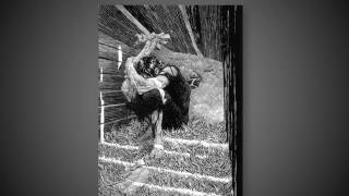Analysis of Chapters 9 16 of Mary Shelley’s novel
