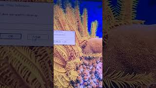 #apne computer ke C drive ko clean kese karein/how to clean C drive #cleaningtips