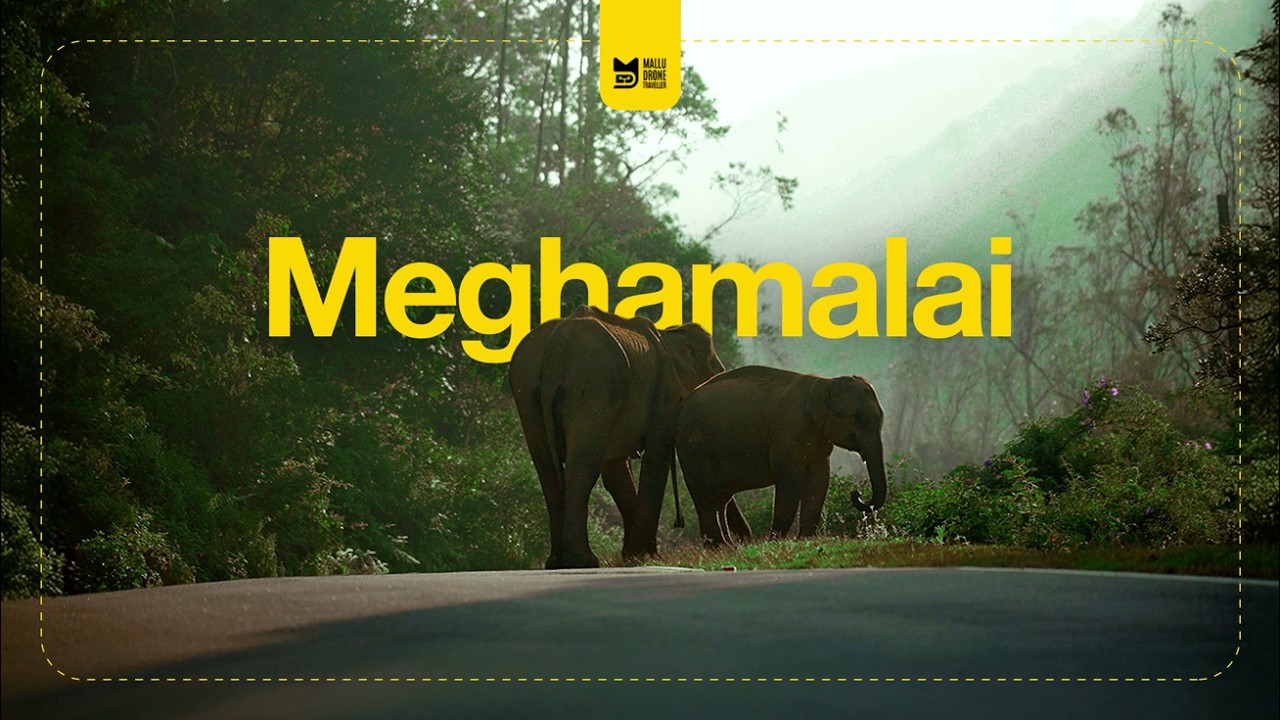 Meghamalai(മേഘമലൈ) - A Secret Hill Station in Tamil Nadu!