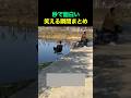秒で面白い笑える瞬間まとめ😂🤣