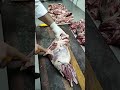 Metode Mosi Ya Pete Ya Kukatula Bibongo Na Cuisse Ya Mameme Butcher Food Meat Cooking Steak Chef Metode Mosi Ya Pete Ya Kukatula Bibongo Na Cuisse Ya Mameme Butcher Food Meat Cooking Steak Chef