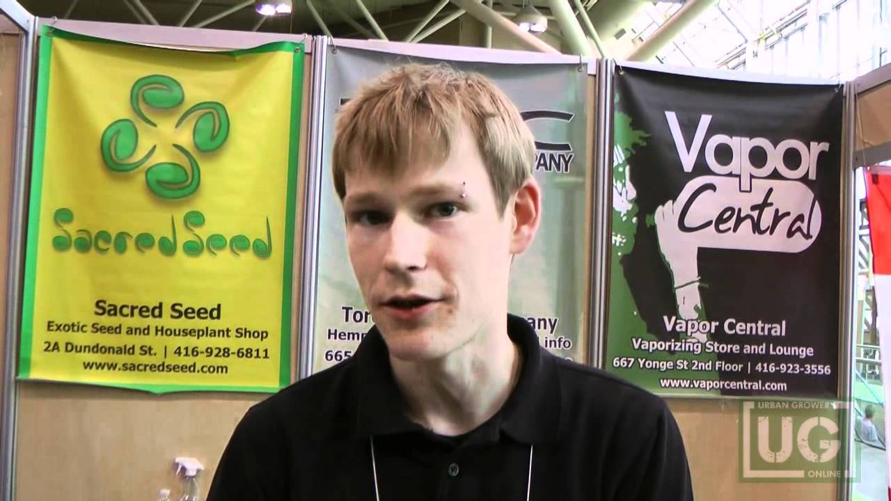 TY Expo 2012 Toronto Hemp Company