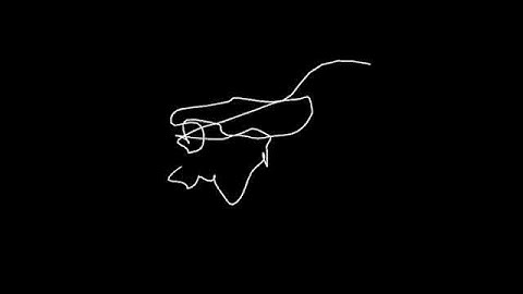 Random Lines: Exploring the Beauty of Unexpected Drawings