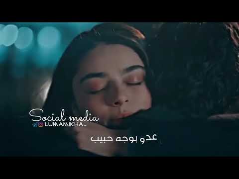 سلطان العماني غيب عني فدوه غيب يا عدو بوجه حبيب