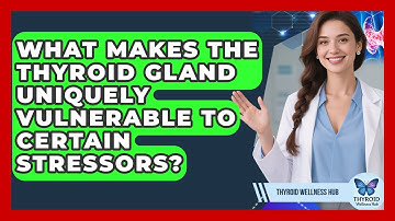 What Makes The Thyroid Gland Uniquely Vulnerable To Certain Stressors? - Thyroid Wellness Hub