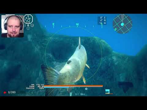 ?Рубрика u0022Чё за Играu0022 Ace Of Seafood