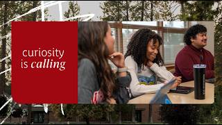 Transfer Student Overview