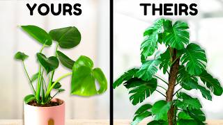 10 Things Plant Experts Do That You Probably Don