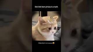 Privacy is a Western Propaganda✌️😭 #funny #relatable #memes #trending #viral #youtubeshorts #shorts