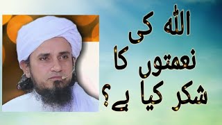 اللہ کی نعمتوں کا شکر کیا ہے؟