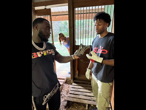 When James and Tre put more than chickens in Ernestine’s chicken coop!