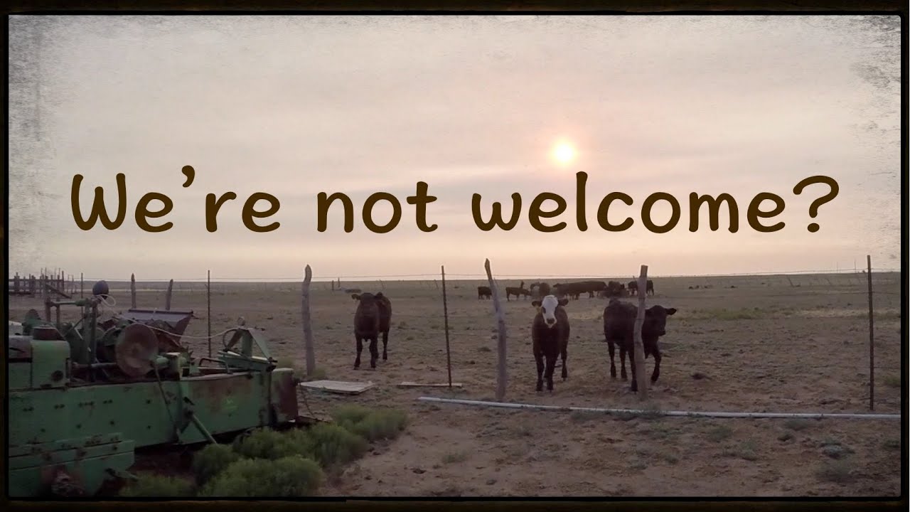 Relocation Rural My Rural Relocation Experience & New Safe Zone Search - YouTube