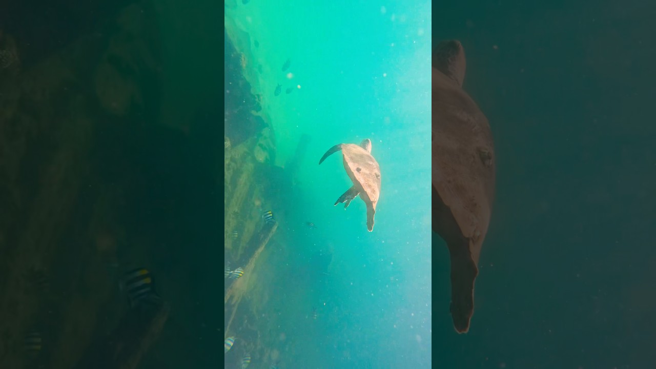 Living in the moment. 