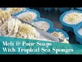 Tropical Sea Sponges Melt & Pour Soap Project