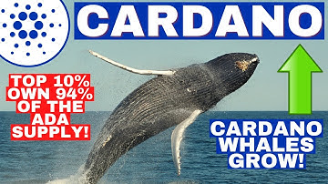 Cardano ADA Whales Continue To BUY! The Top 10% Of ADA Wallets Own 94% Of The Supply! And Growing!!!