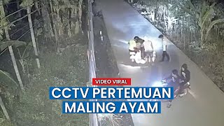 Komplotan Pemuda Curi Bebek dan Ayam,  Aksinya Terekam CCTV
