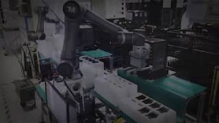 TM-ROBOT TM5