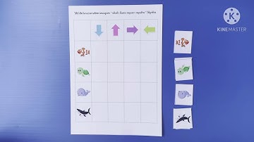 กิจกรรม Unplug Coding สำหรับเด็กปฐมวัย