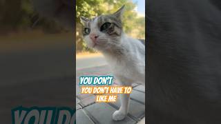 #cat