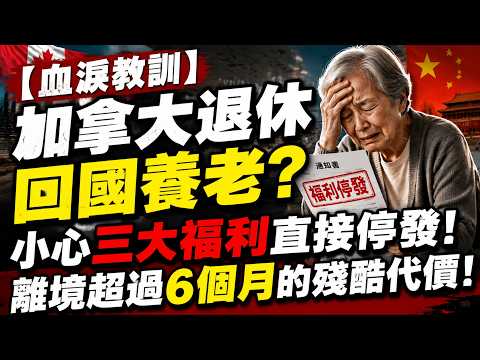 【血淚教訓】加拿大退休回國養老？小心三大福利直接停發！離境超過6個月的殘酷代價！#加拿大養老金 #加拿大OAS #加拿大CPP #加拿大GIS #加拿大海外養老 #加拿大退休福利 #非稅務居民稅務
