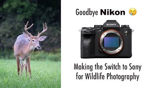 Switch from Nikon To Sony
