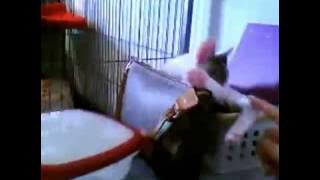 @jsakha [http://twitvid.com/HZLZD - test upload]