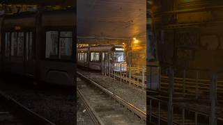 Brussels Tram line 51 at Lemmonier Station | #shorts #tram #stib #mivb #brussels #bruxelles