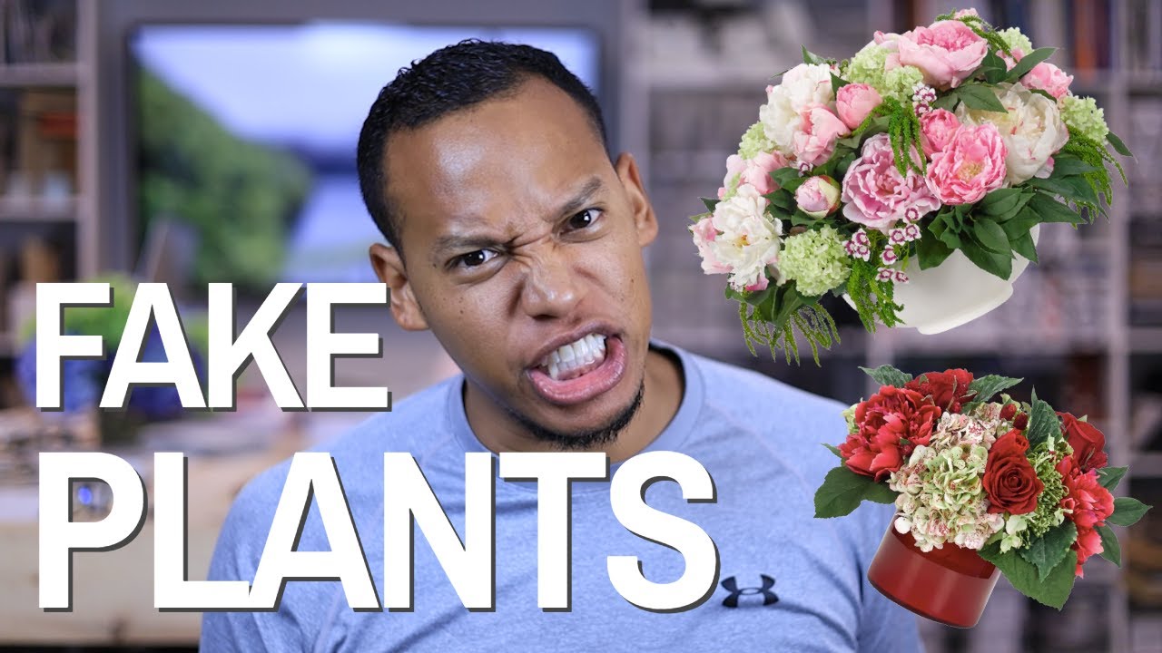 INTERIOR DESIGN Fake Plants YouTube