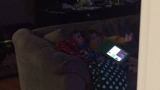 IMG 6889 IMG 6889