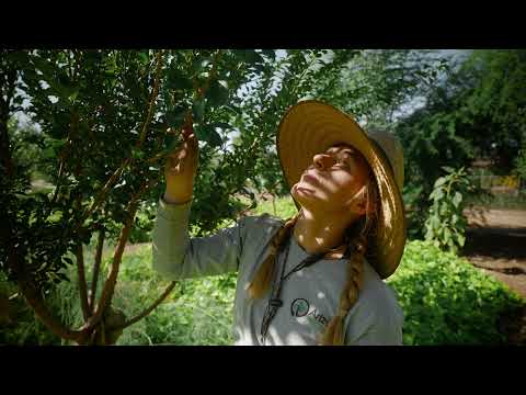 About the AZWF Food Forest